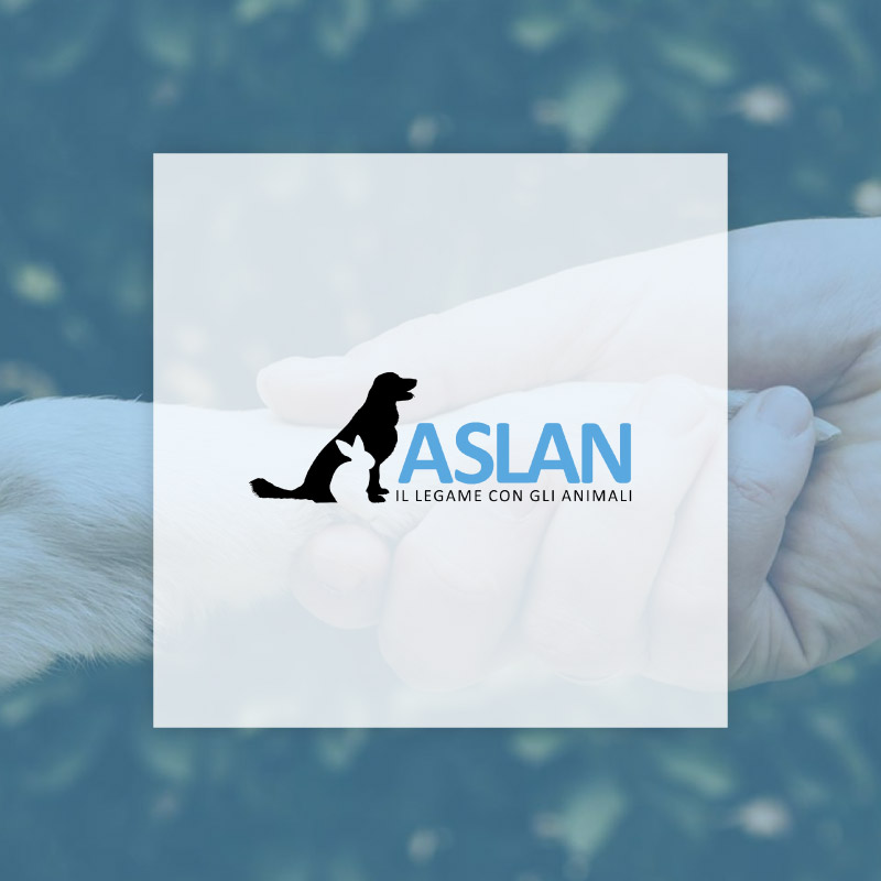 Associazione Aslan - web site layout custom wordpress